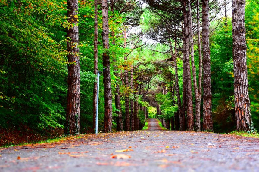 ACTES 26.19-20 LA REPENTANCE