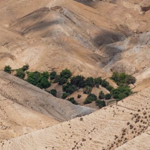 ESAÏE 35.1-10 IL EST LÀ VOTRE DIEU