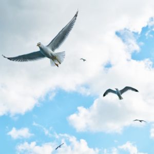 JEAN 20.19-23, ACTES 2.1-11 L’ÉGLISE DE L’ESPRIT