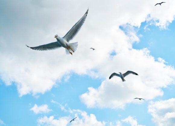 JEAN 20.19-23, ACTES 2.1-11 L’ÉGLISE DE L’ESPRIT