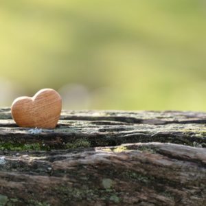 Coeur-homme1 Les bonnes habitudes selon Dieu (2ème partie)