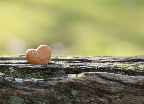 Les bonnes habitudes selon Dieu (2ème partie)