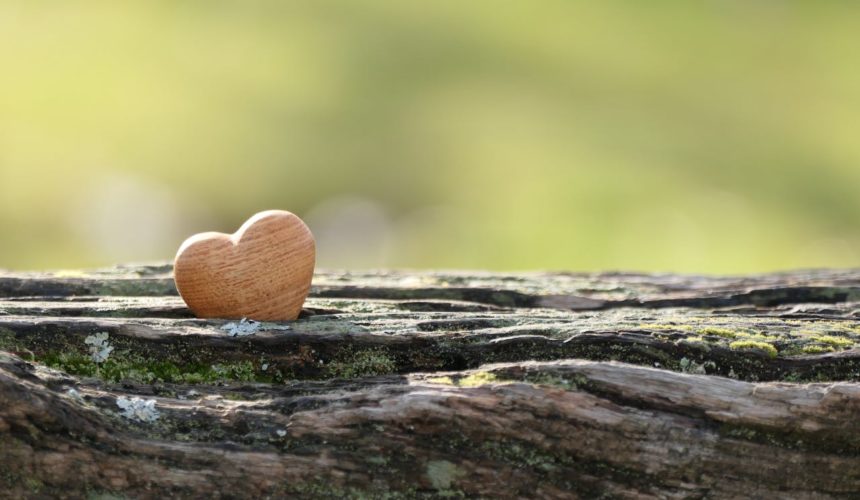 Coeur-homme1 Les bonnes habitudes selon Dieu (2ème partie)