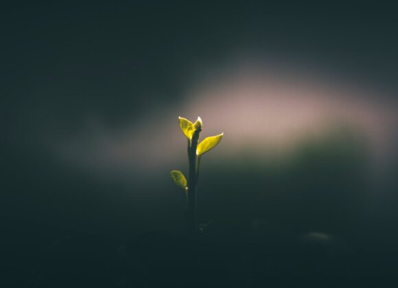 2 CORINTHIENS 5.1-10 LA RÉSURRECTION PRÉSENTE ET FUTURE (Partie 2)