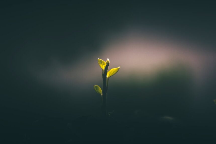 2 CORINTHIENS 5.1-10 LA RÉSURRECTION PRÉSENTE ET FUTURE (Partie 2)